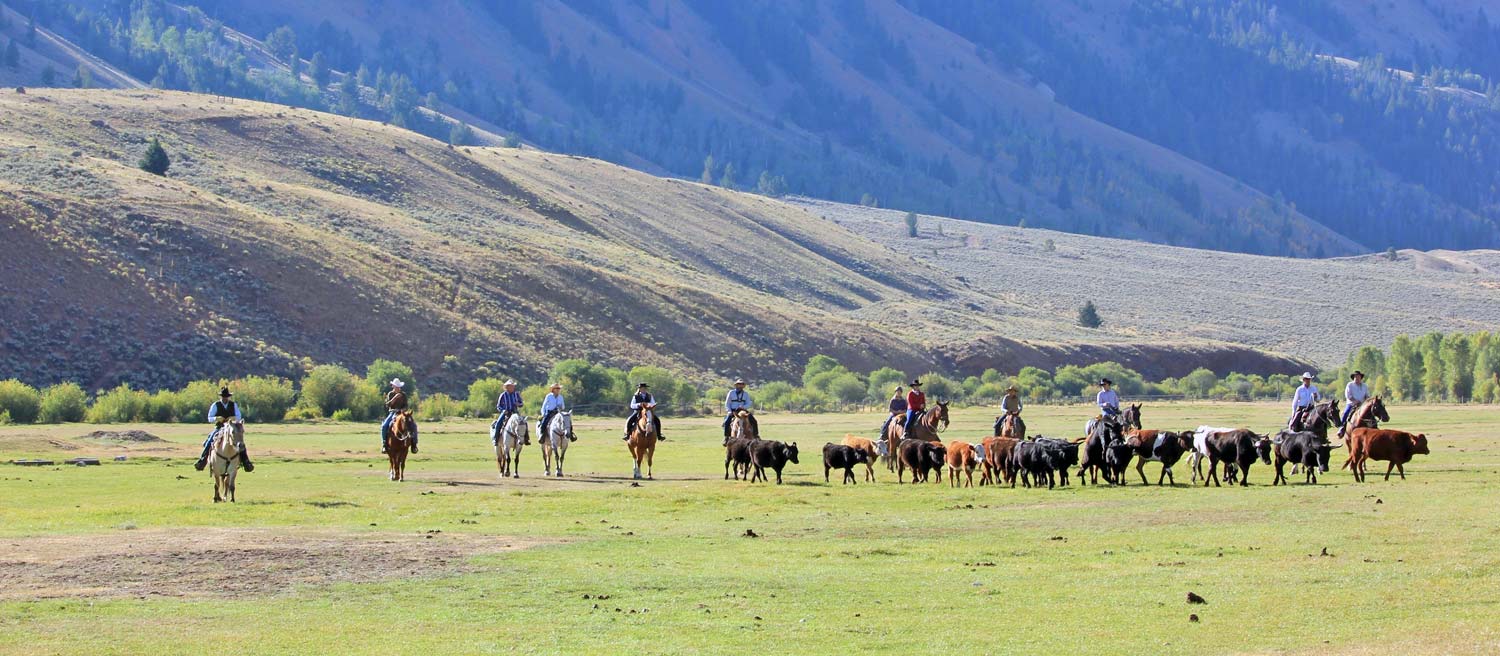 Wyoming Ranch Jobs at Red Rock Ranch in Jackson Hole