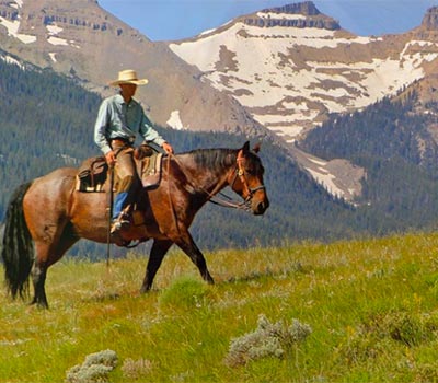 Lone rider on horseback in the mountains