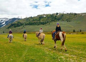 kids going for horse ride