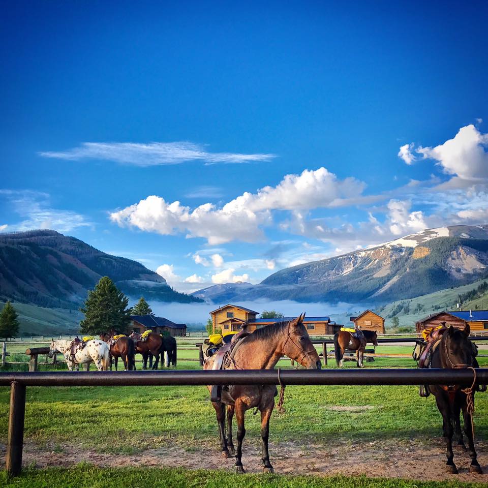 Horses at Red Rock Ranch
