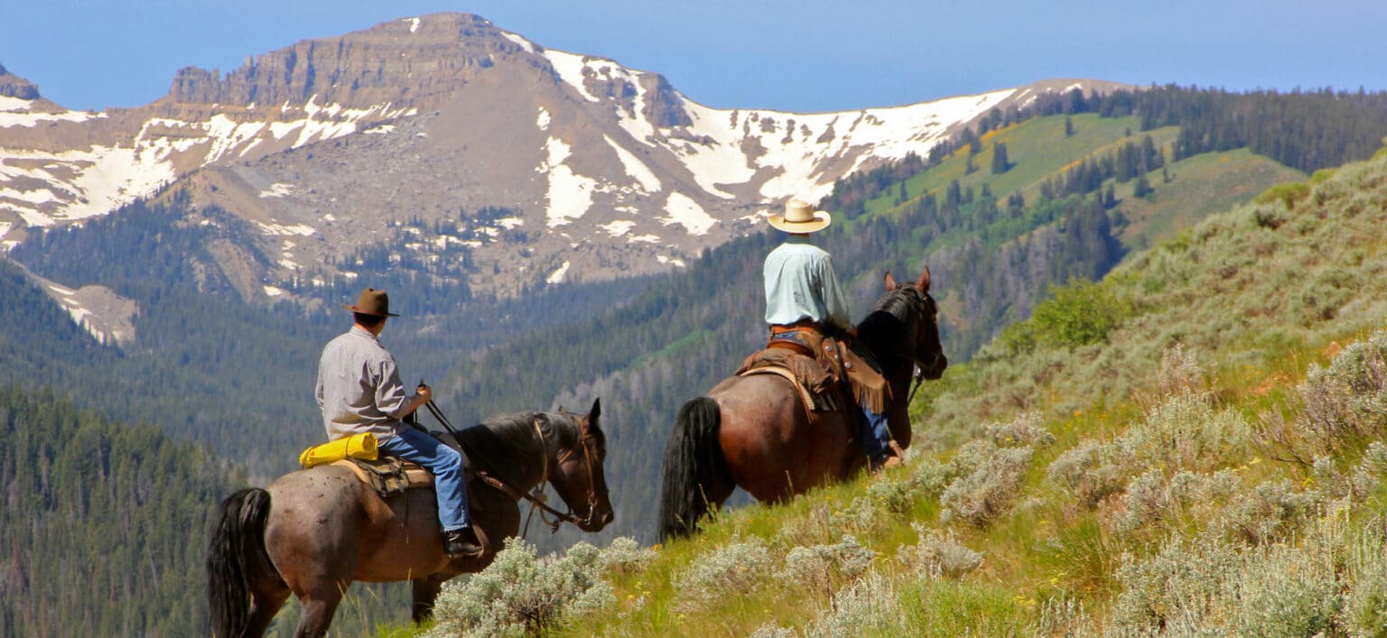 horseback riding tours jackson hole