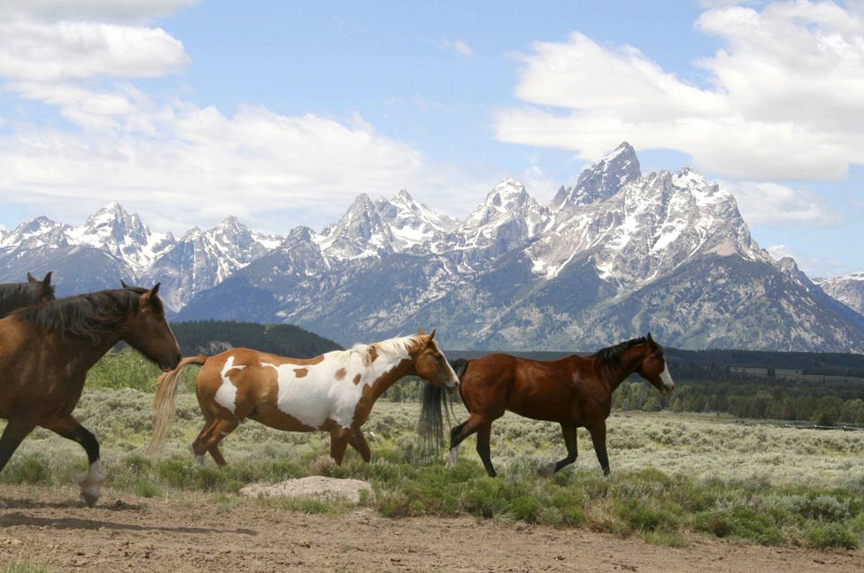 wyoming tourism dude ranch