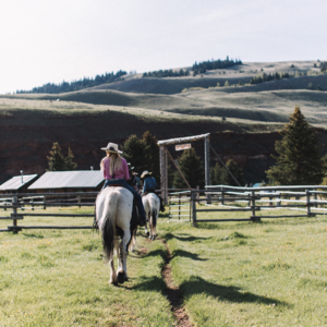 Dude Ranch, Jackson Hole