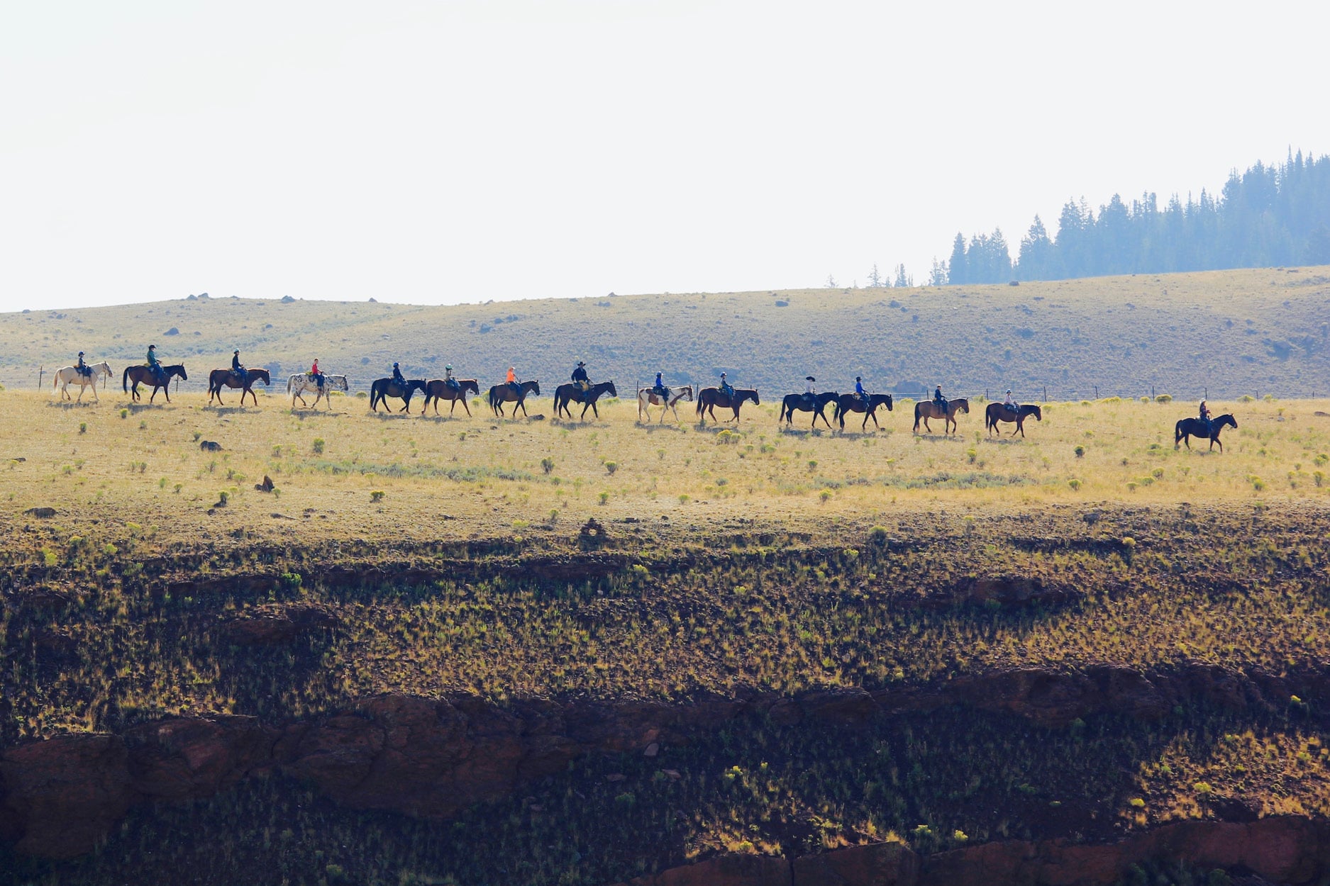 Bobbi Wade Fundamentals of Horsemanship Clinic