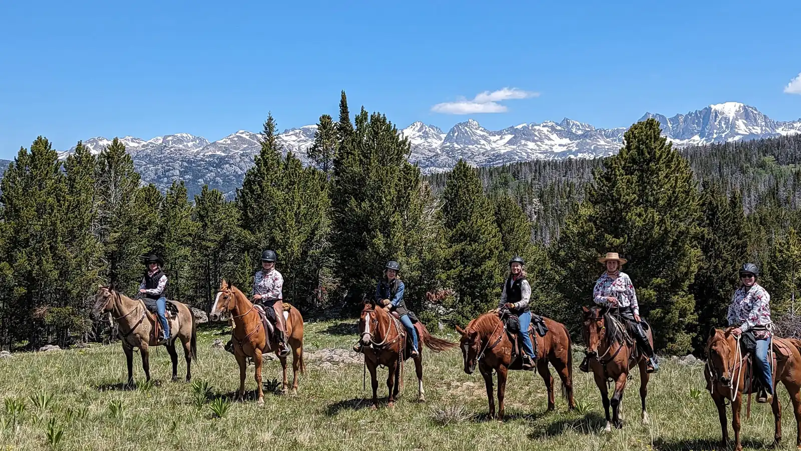 A group of people riding horses in a field