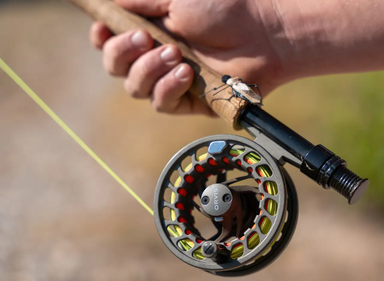 A person holding a fishing reel