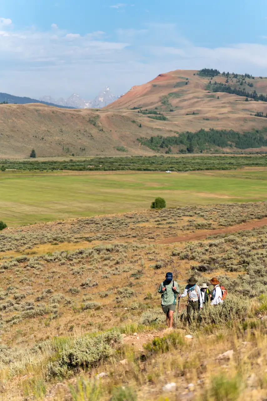 A group of people hiking up a hill