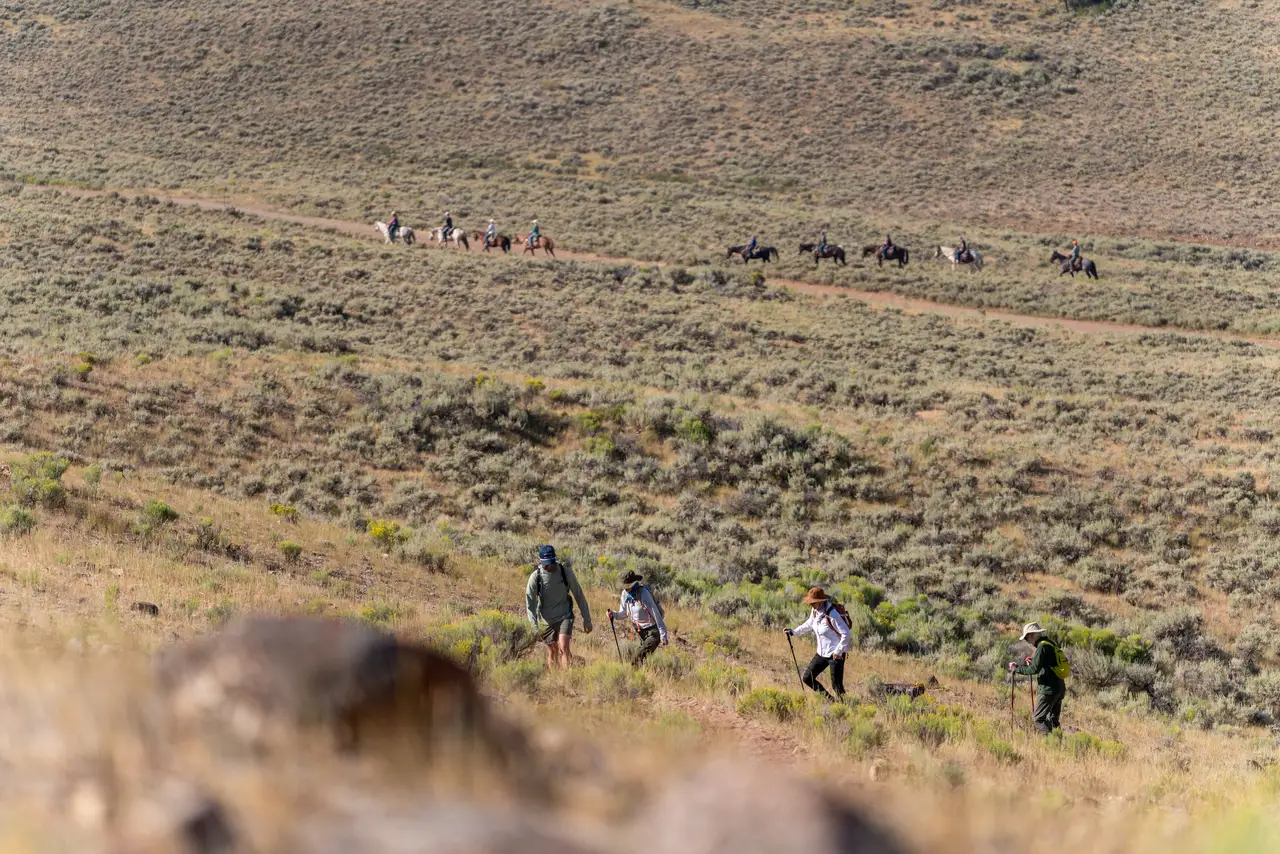 People walking up a hill with horses and mules behind them