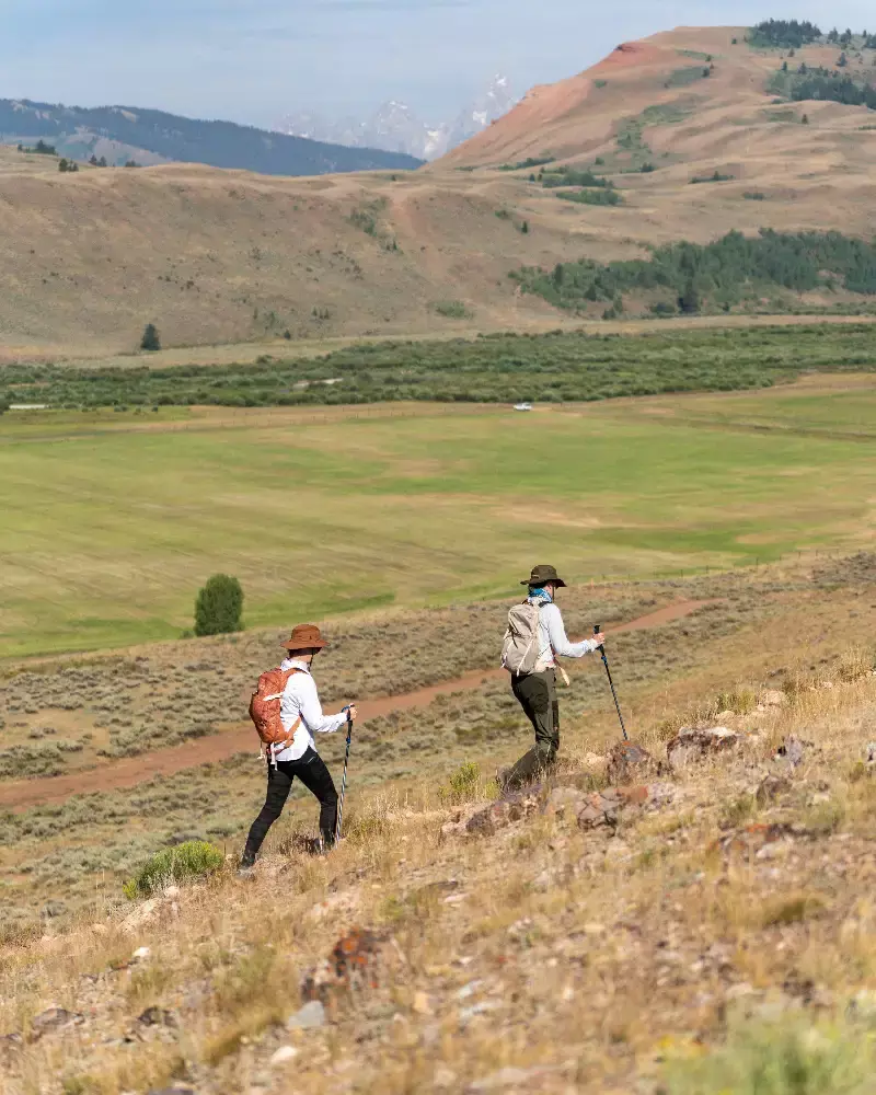 Two hikers on a mountain trail