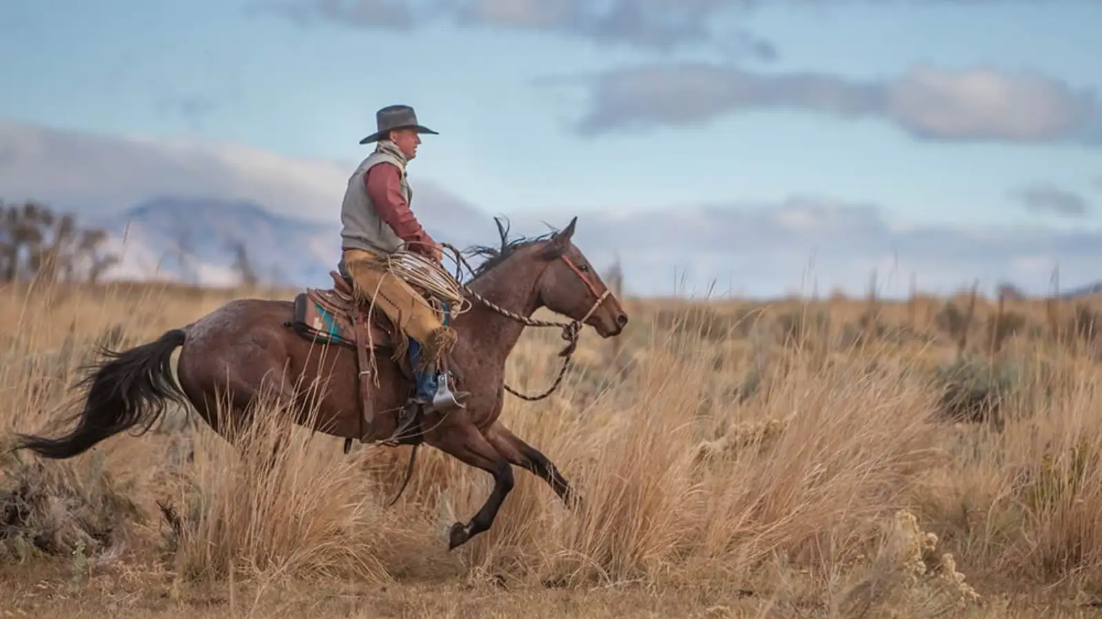 A man riding a horse in a field