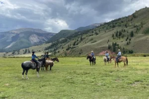 A group of people riding horses in a grassy field