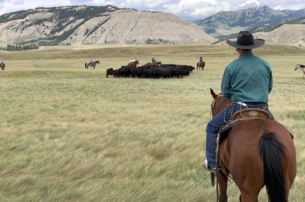 Best martin black clinic in wyoming