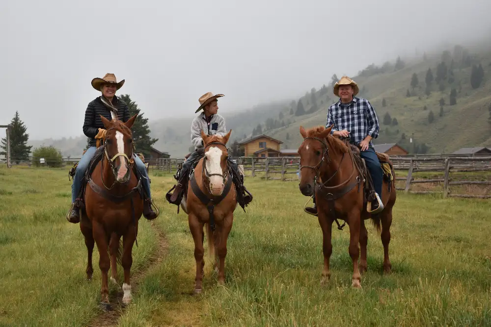 Three people riding horses on a trail in a grassy field