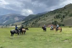 A group of people riding horses in a grassy field